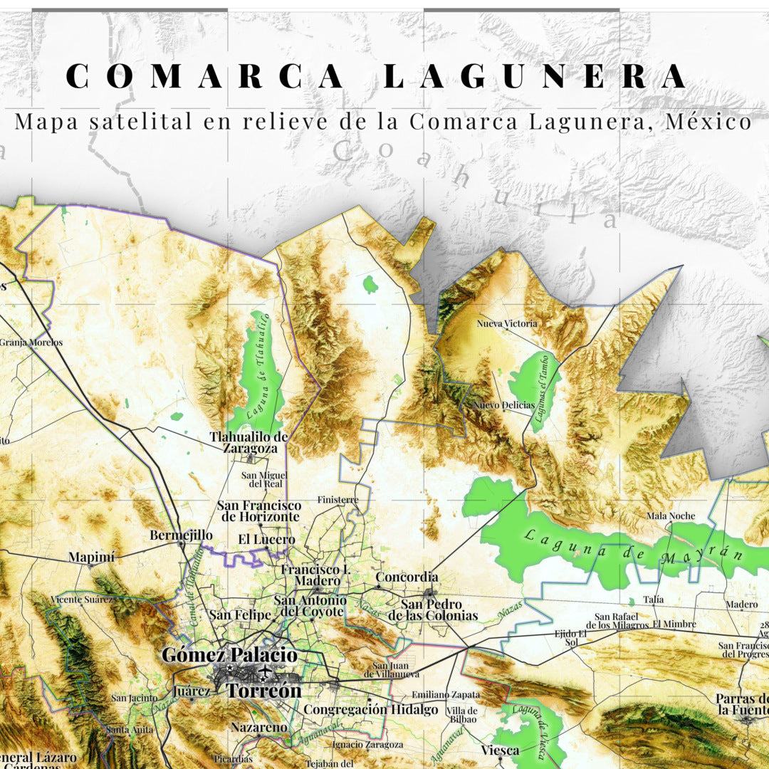 Mapa satelital en relieve de la Comarca Lagunera, México | Fine art print