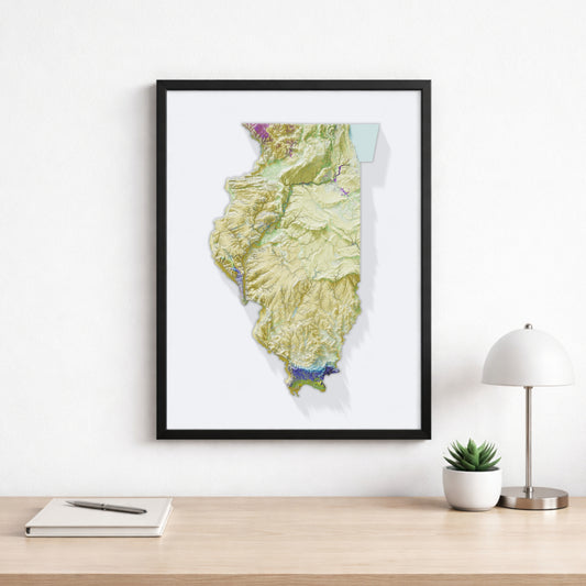 Illinois Topographic Map – Geological Style Giclée Print