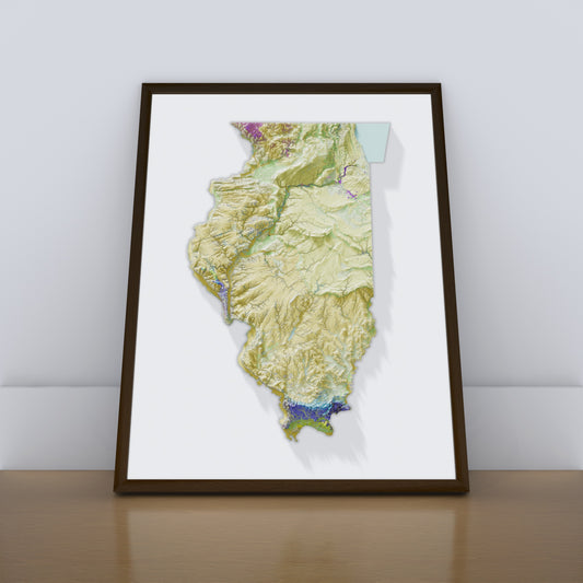 Illinois Topographic Map – Geological Style Giclée Print