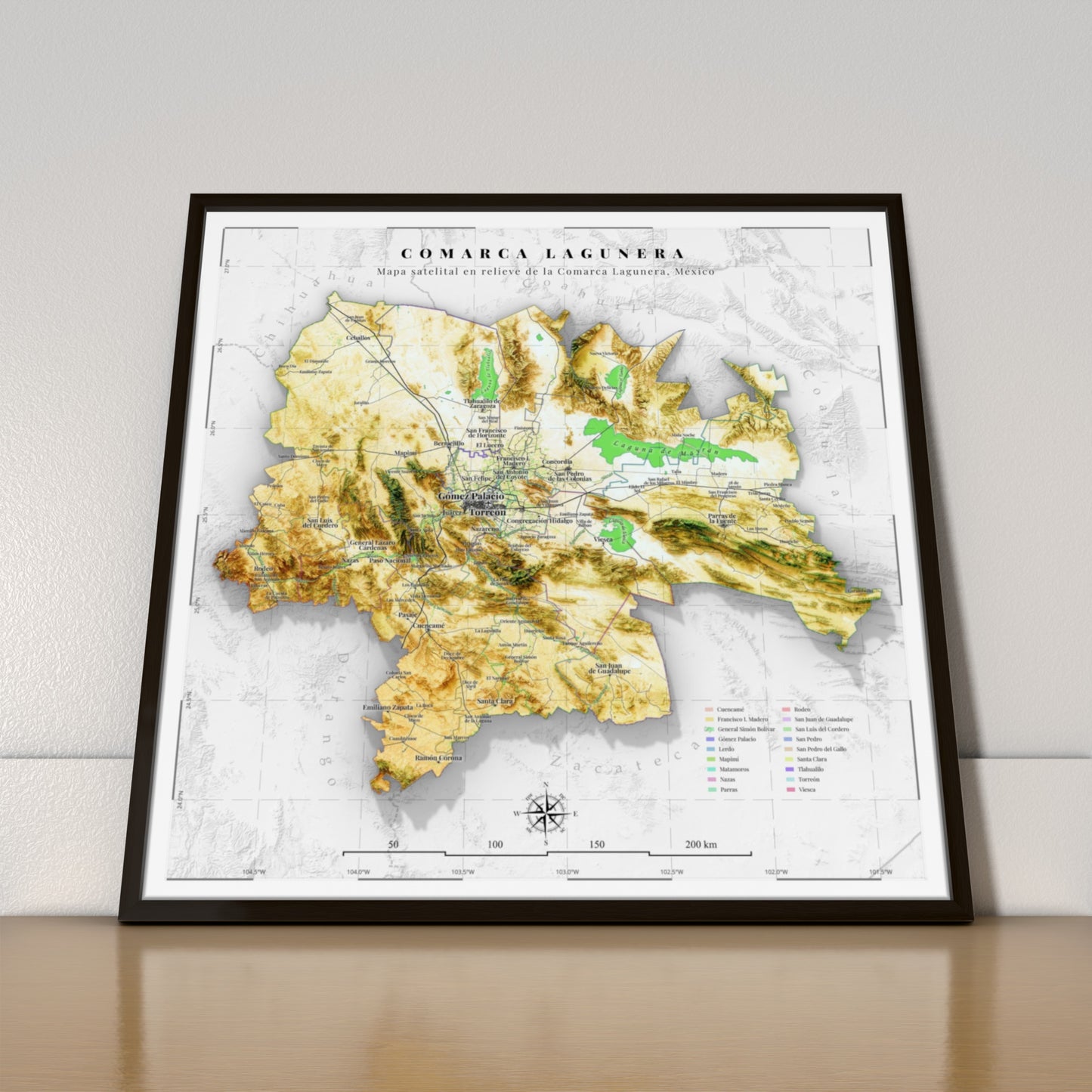 Mapa satelital en relieve de la Comarca Lagunera, México | Fine art print