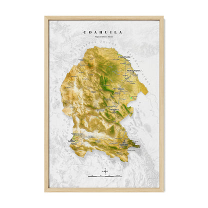 Coahuila, Mexico – Satellite Shaded Relief Map