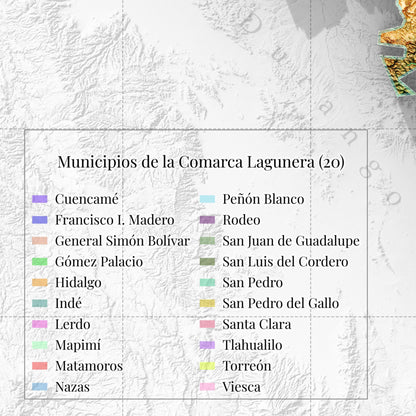 Comarca Lagunera (20 Municipios), Mexico – 3D Relief Map (Satellite)