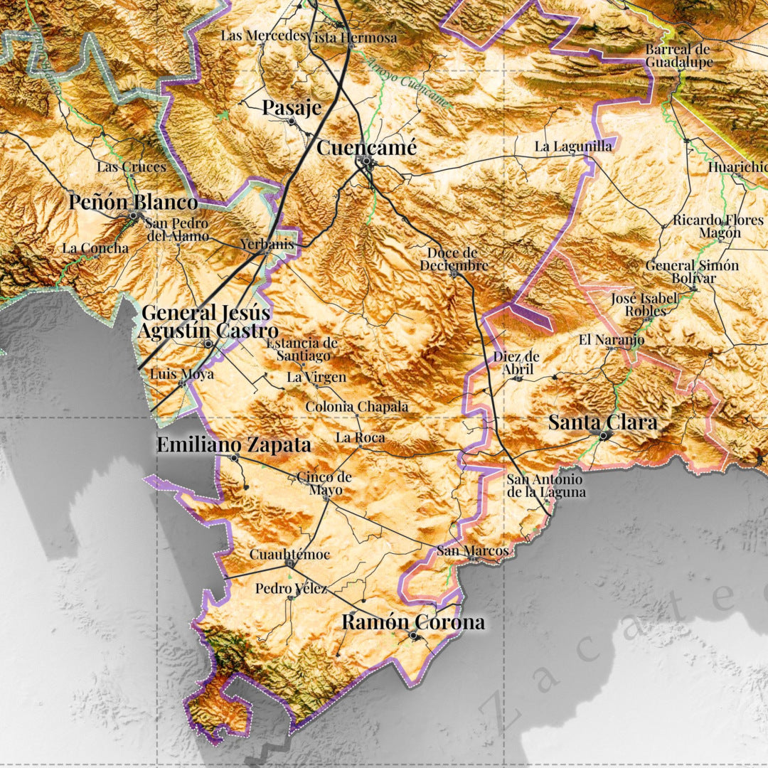 Comarca Lagunera (20 Municipios), Mexico – 3D Relief Map (Satellite)