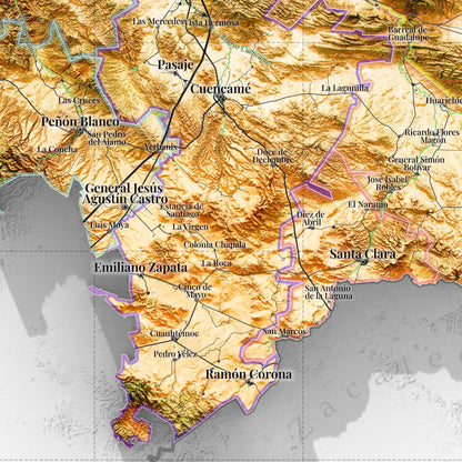 Comarca Lagunera (20 Municipios), Mexico – 3D Relief Map (Satellite)
