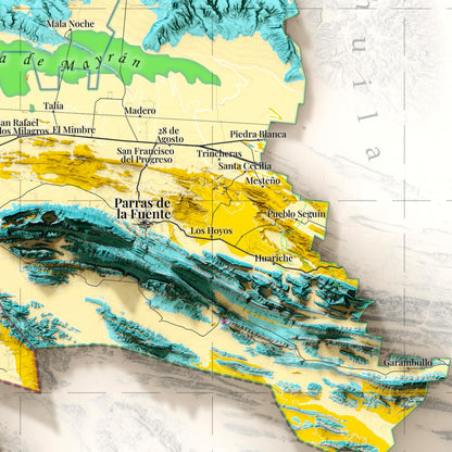 Comarca Lagunera (18 Municipios), México – Geological Shaded Relief Map