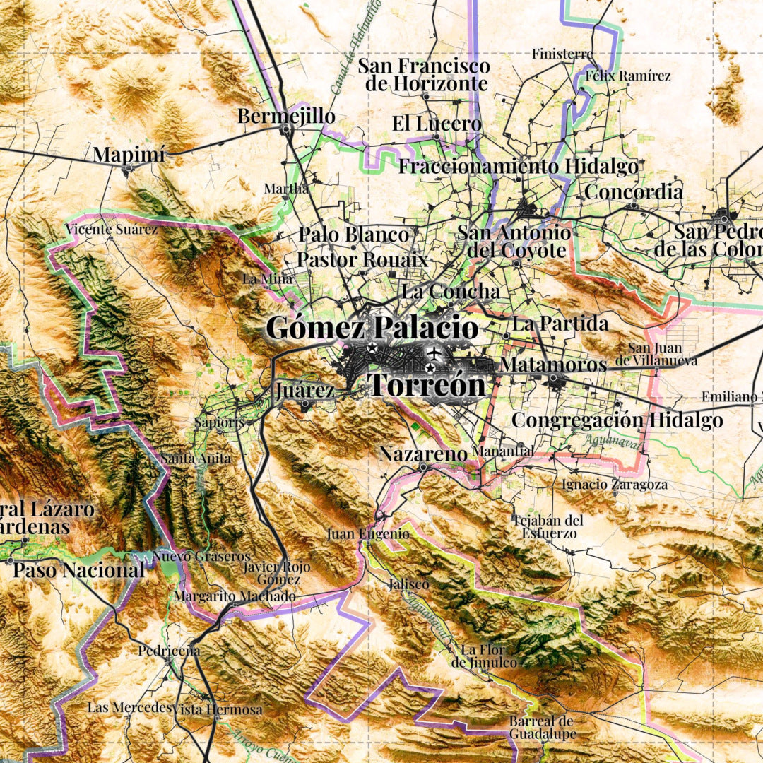 Comarca Lagunera (20 Municipios), Mexico – 3D Relief Map (Satellite)