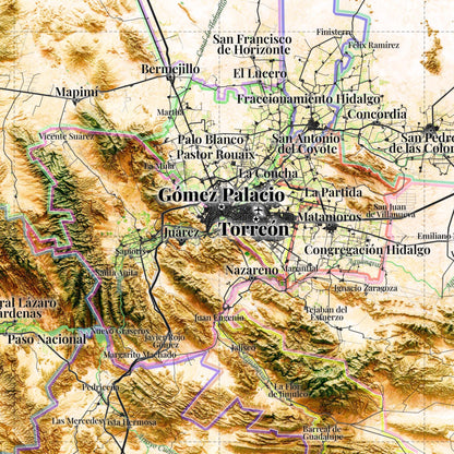 Comarca Lagunera (20 Municipios), Mexico – 3D Relief Map (Satellite)