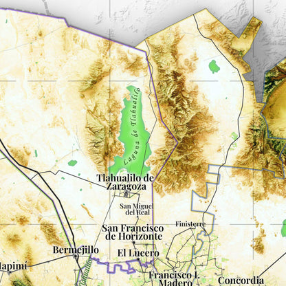 Mapa satelital en relieve de la Comarca Lagunera, México | Fine art print