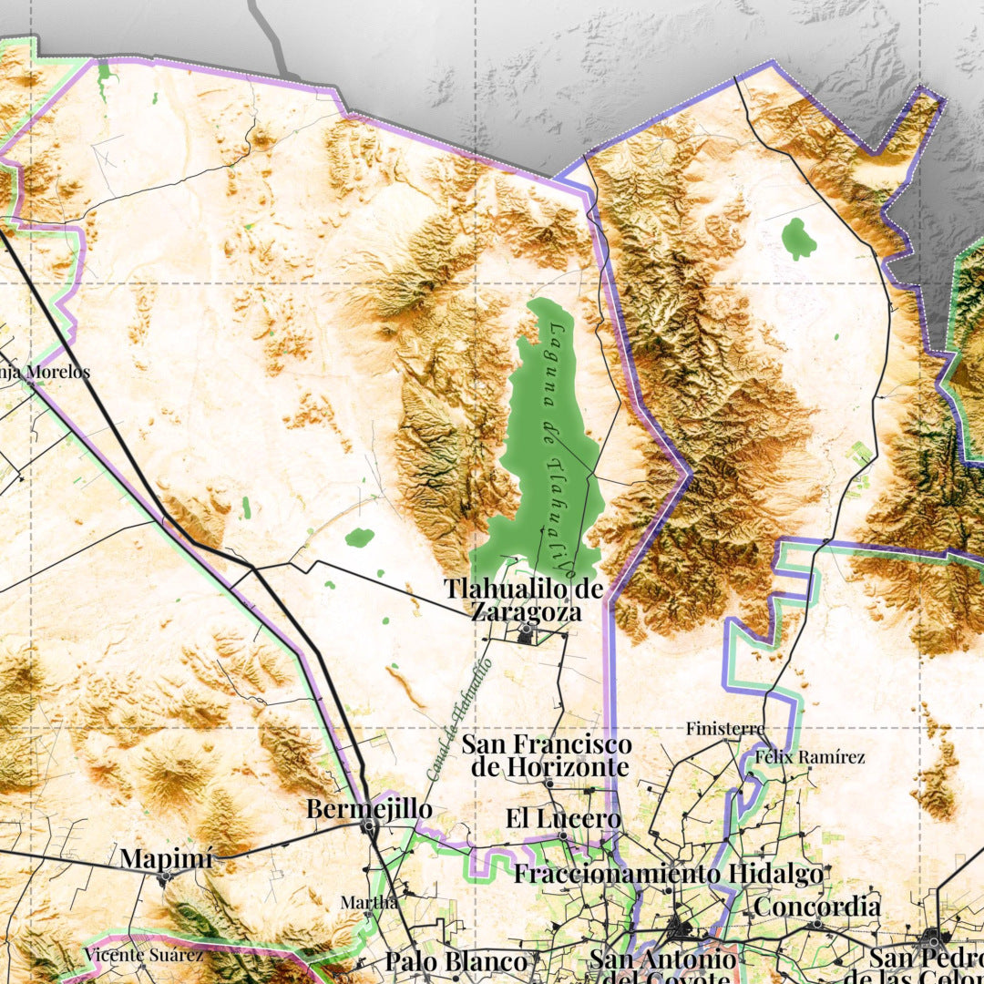Comarca Lagunera (20 Municipios), Mexico – 3D Relief Map (Satellite)
