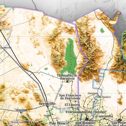 Comarca Lagunera (20 Municipios), Mexico – 3D Relief Map (Satellite)