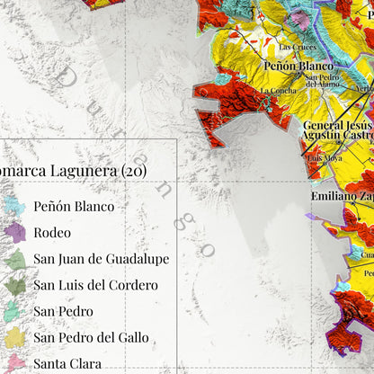Comarca Lagunera (20 Municipios), México – Geological Shaded Relief Map