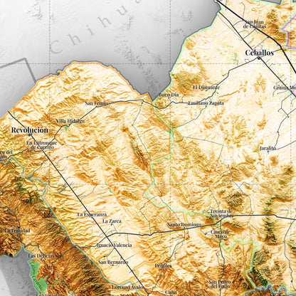 Comarca Lagunera (20 Municipios), Mexico – 3D Relief Map (Satellite)