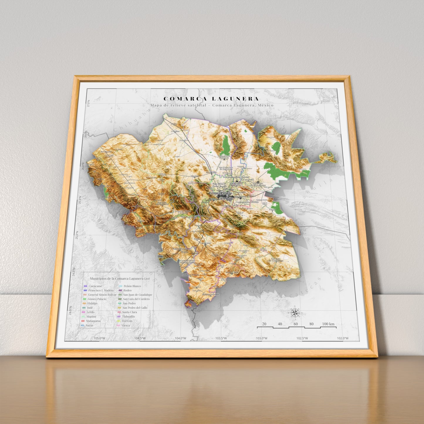Comarca Lagunera (20 Municipios), Mexico – 3D Relief Map (Satellite)